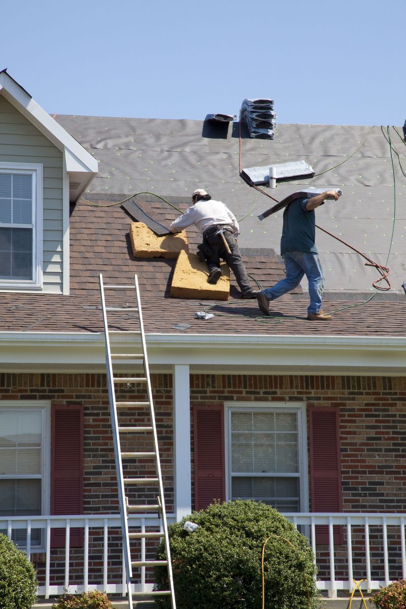 Great Ways to Hire a Specialist for Residential Roofing in Gainesville, FL